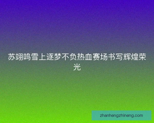 苏翊鸣雪上逐梦不负热血赛场书写辉煌荣光