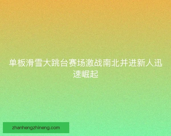 单板滑雪大跳台赛场激战南北并进新人迅速崛起